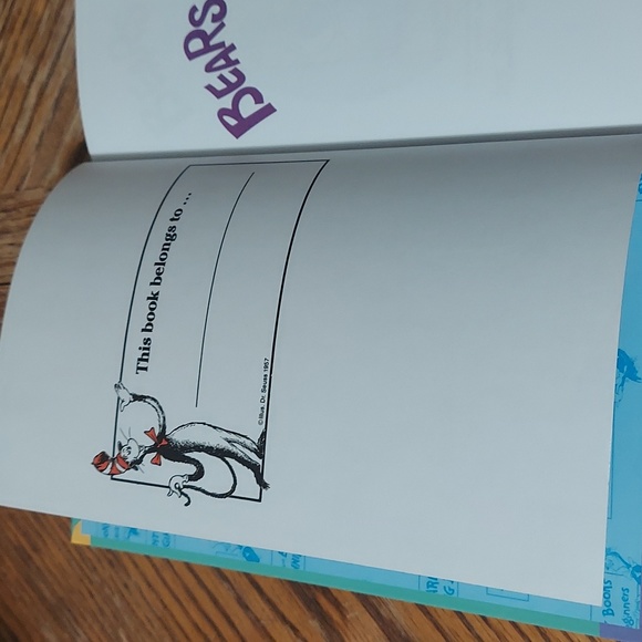 The Berenstain Bears Bears In The Night - Picture 5 of 14